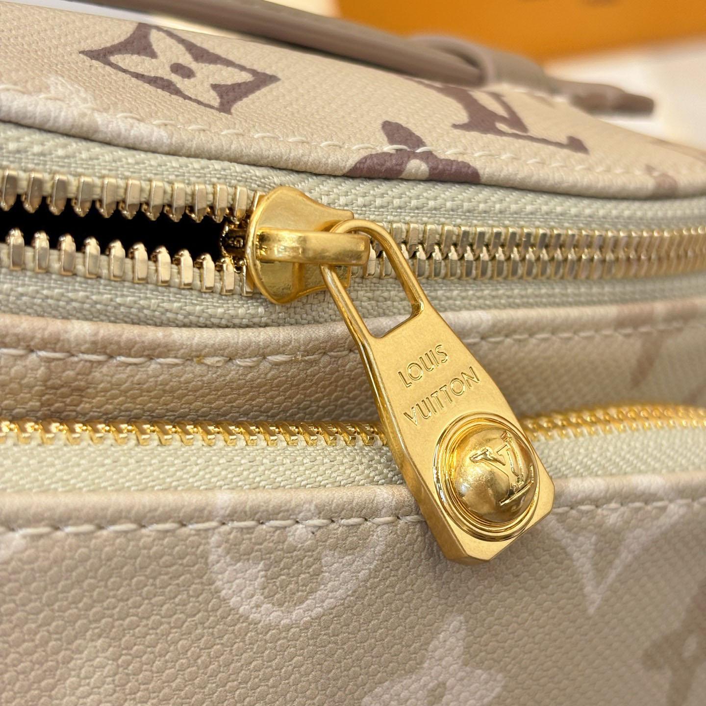 Louis Vuitton Rush Bumbag M29274 - DesignerGu