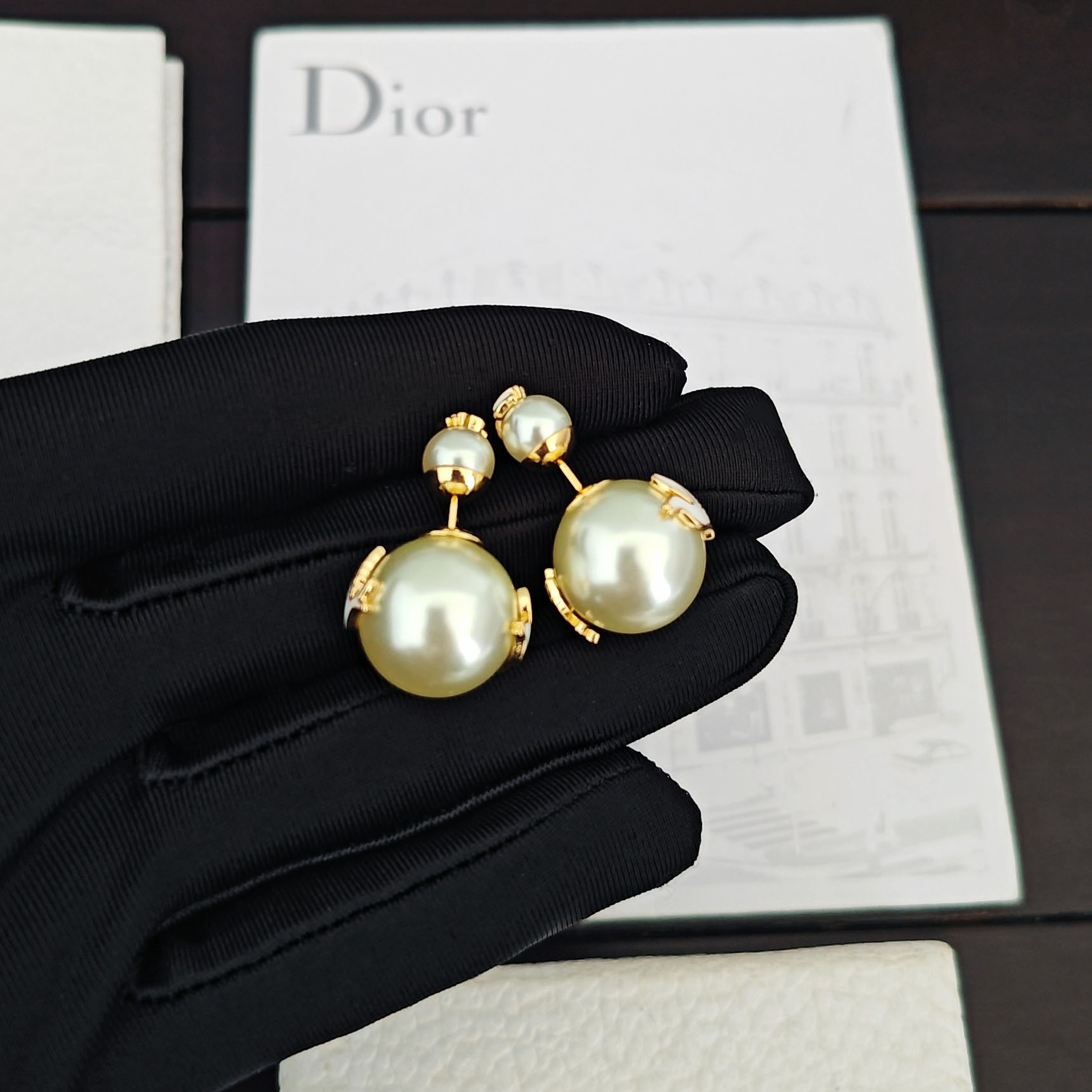 Dior Dioramour Dior Tribales Earrings - DesignerGu