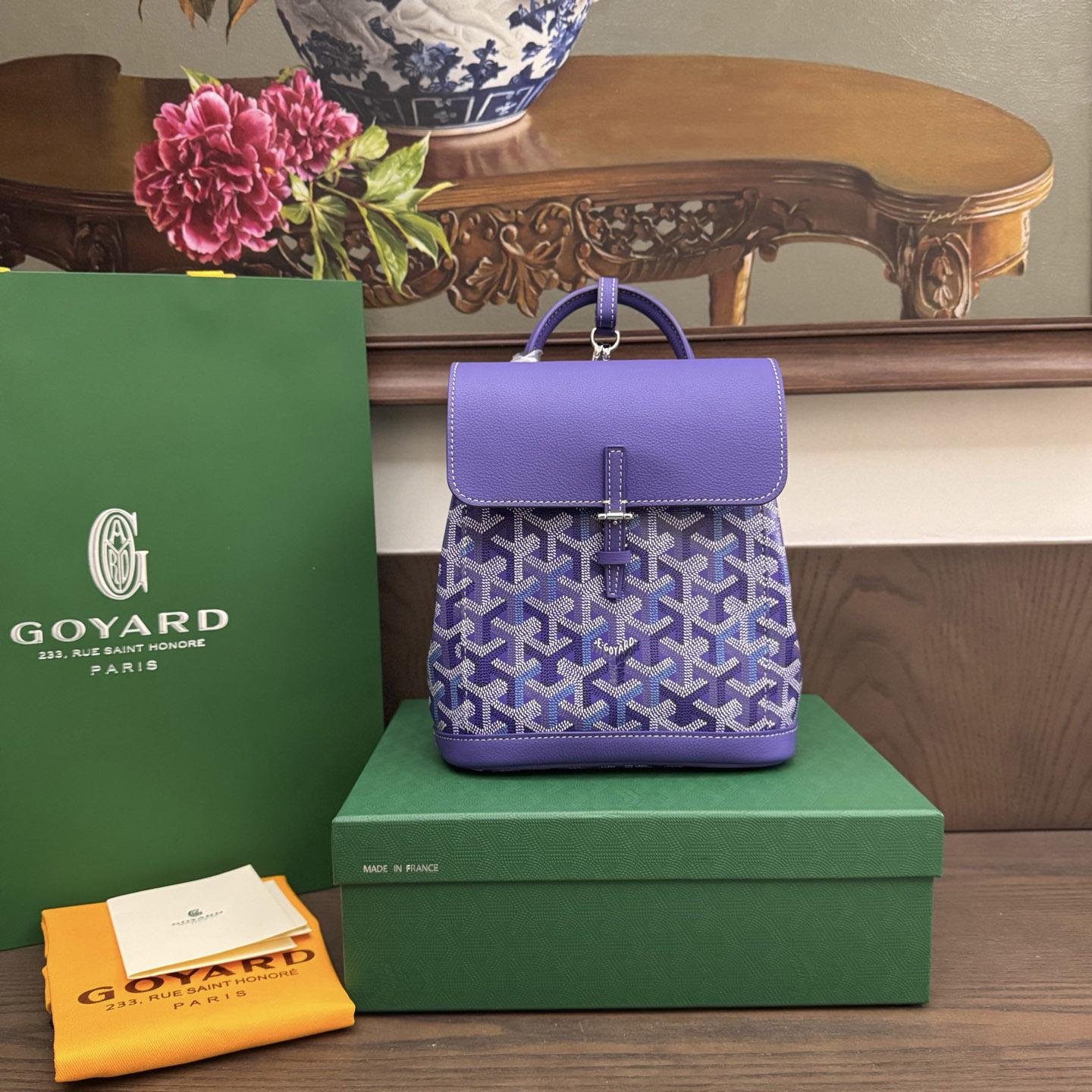 Goyard Alpin Mini Backpack Limited Edition - DesignerGu