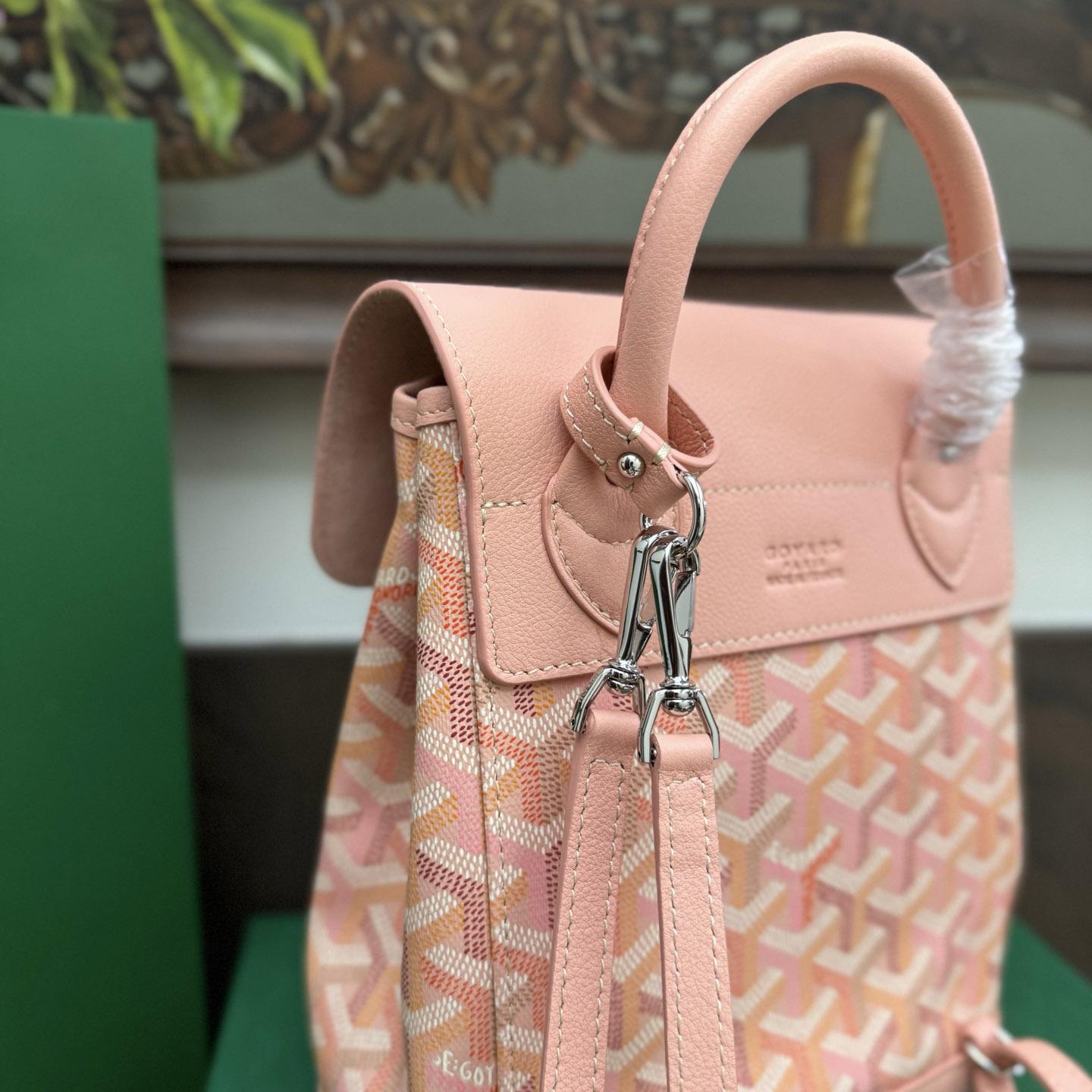 Goyard Alpin Mini Backpack Limited Edition - DesignerGu