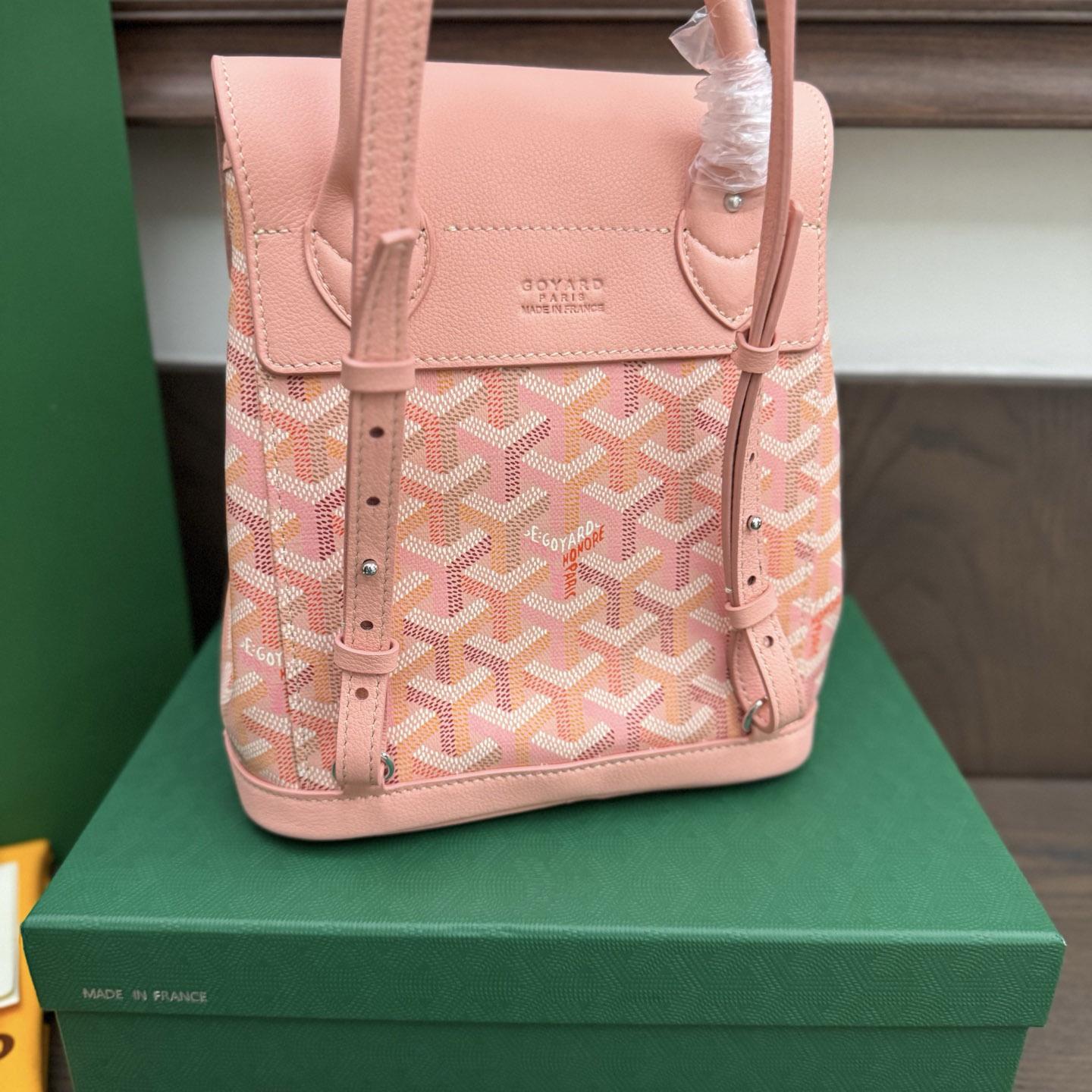 Goyard Alpin Mini Backpack Limited Edition - DesignerGu