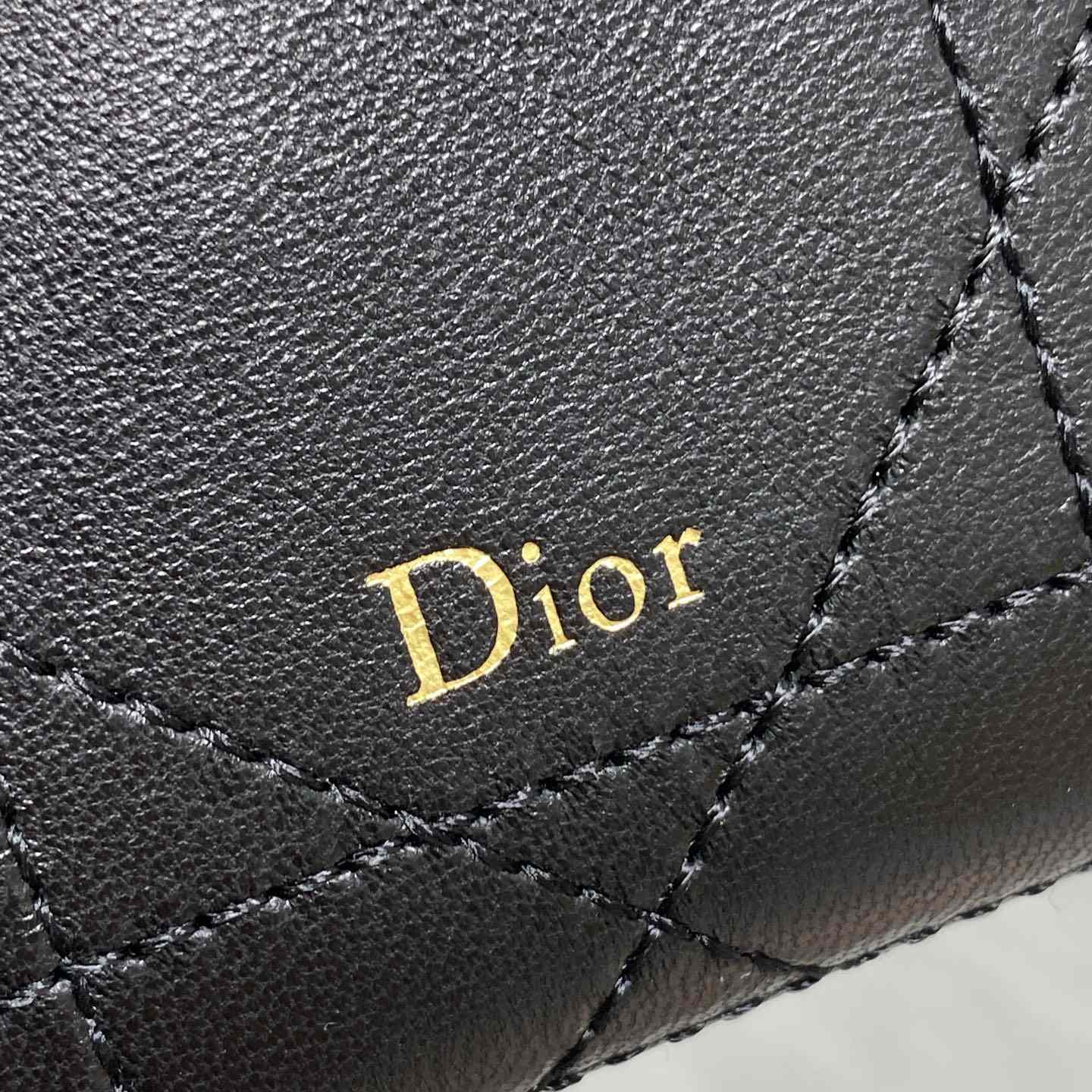 Dior Trianon Soft Vanity Bag - DesignerGu