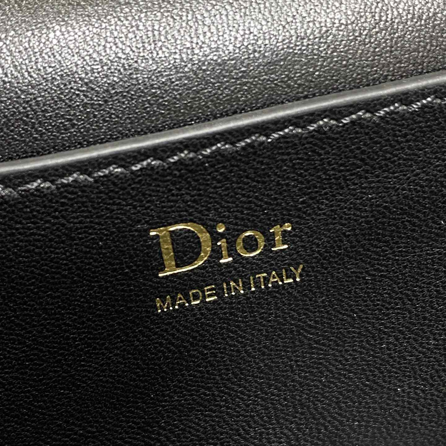 Dior Trianon Soft Vanity Bag - DesignerGu