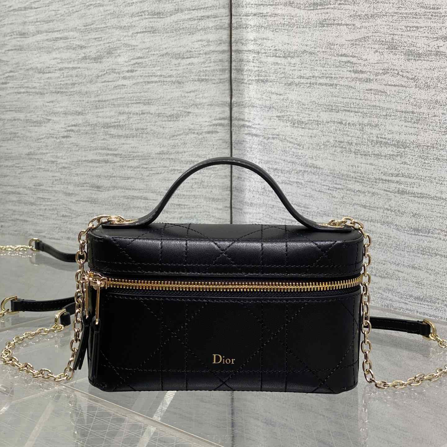 Dior Trianon Soft Vanity Bag - DesignerGu