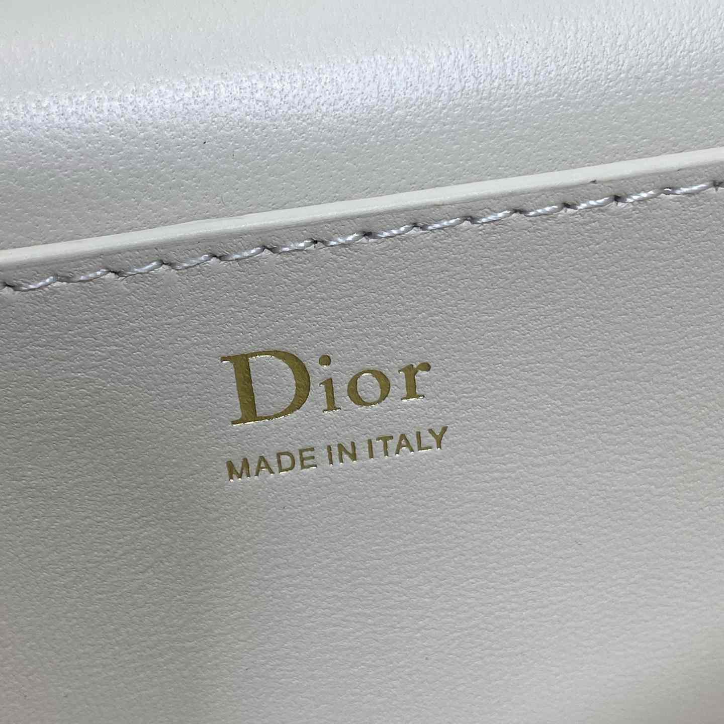 Dior Trianon Soft Vanity Bag - DesignerGu