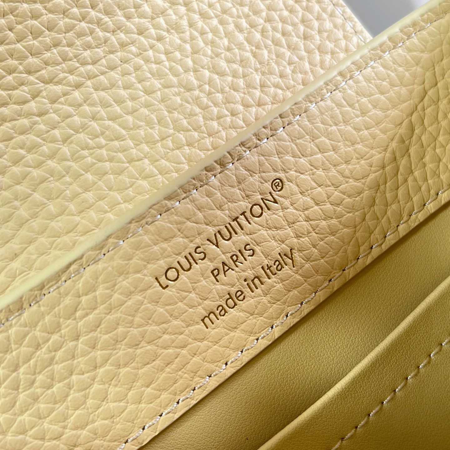 Louis Vuitton Capucines Mini M28716 - DesignerGu