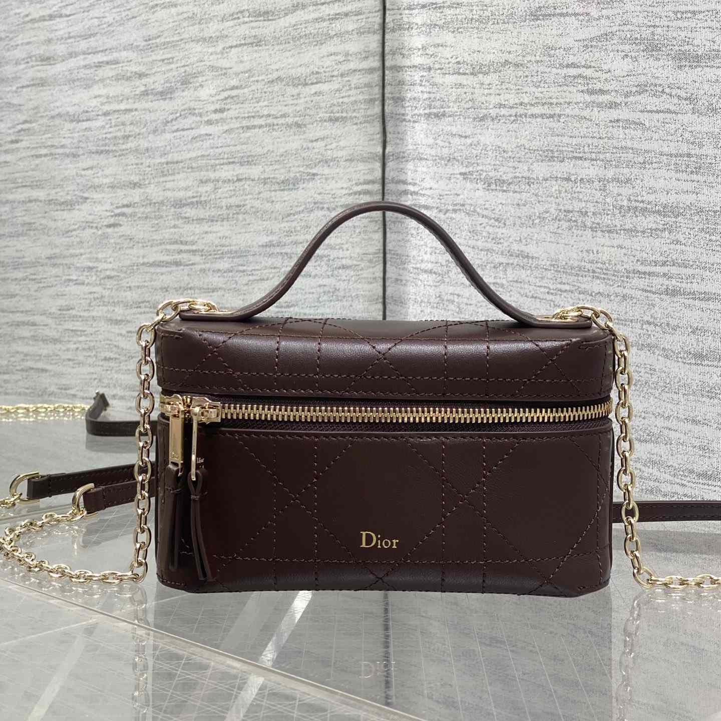 Dior Trianon Soft Vanity Bag - DesignerGu