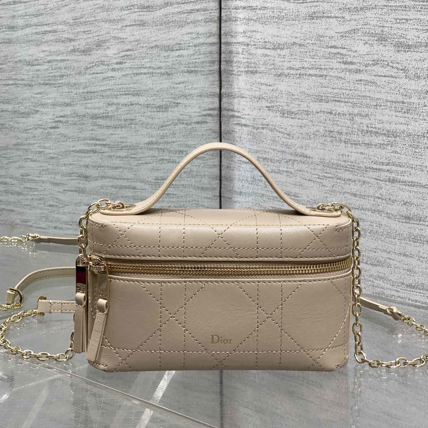 Dior Trianon Soft Vanity Bag - DesignerGu
