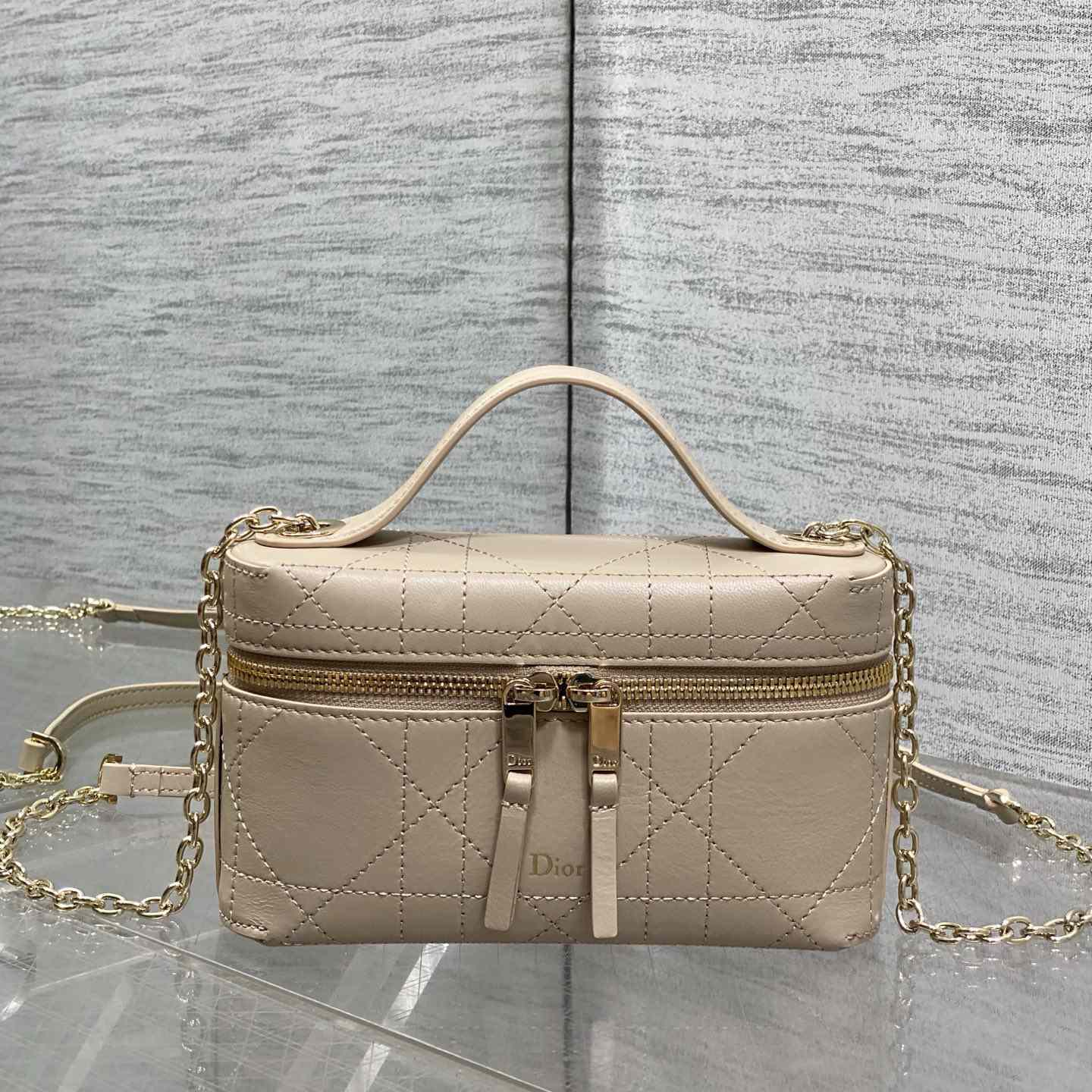Dior Trianon Soft Vanity Bag - DesignerGu