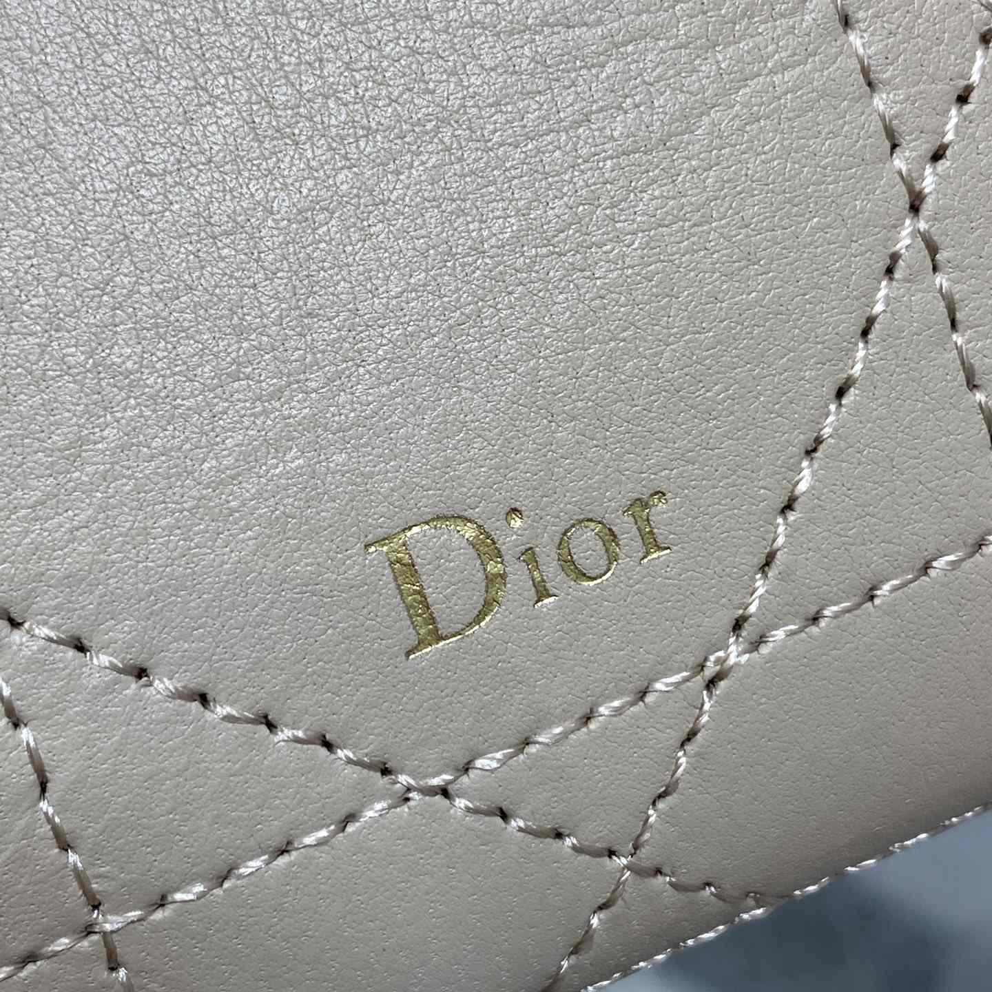Dior Trianon Soft Vanity Bag - DesignerGu