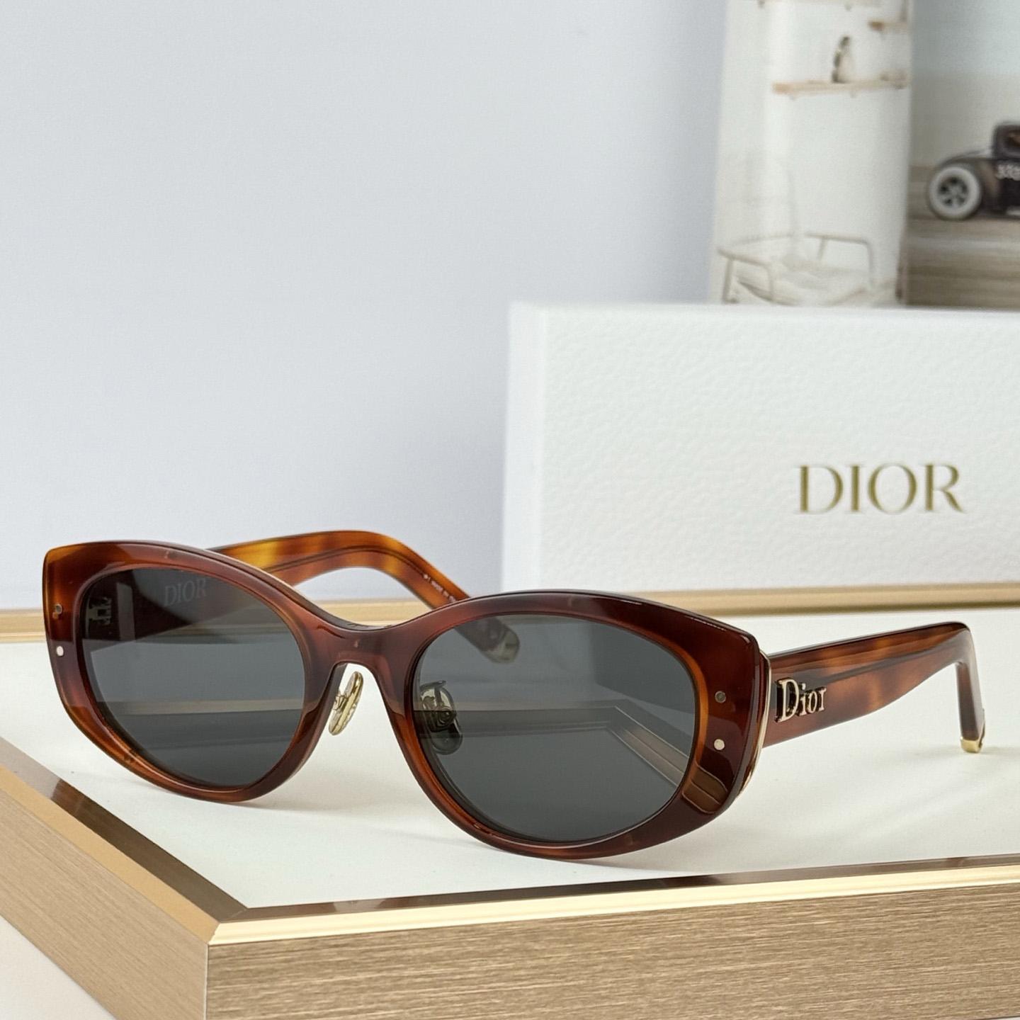 Dior B1U Sunglasses - DesignerGu