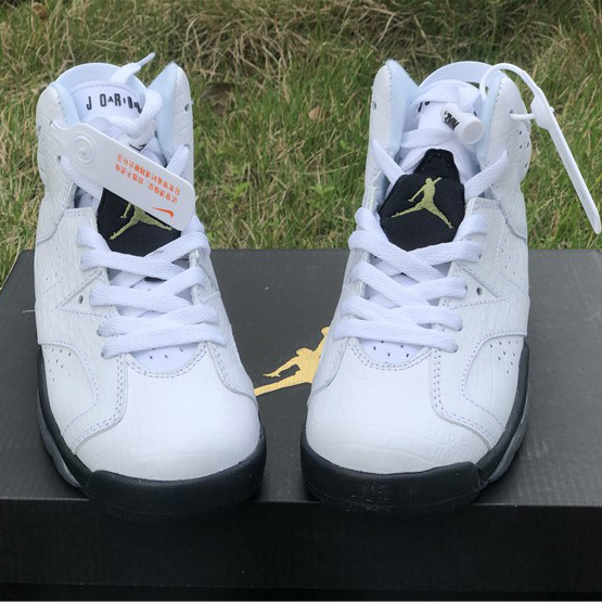 Air Jordan 6 "Alligator"  - 