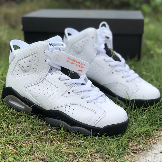 Air Jordan 6 "Alligator"  - 