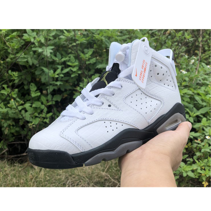 Air Jordan 6 "Alligator"  - 