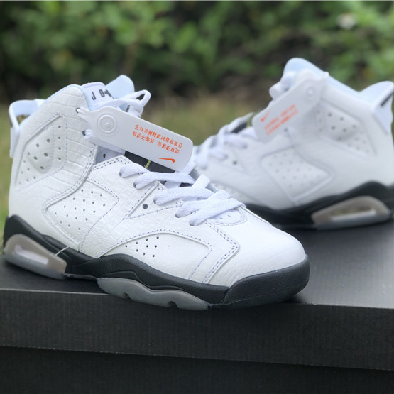 Air Jordan 6 "Alligator"  - 