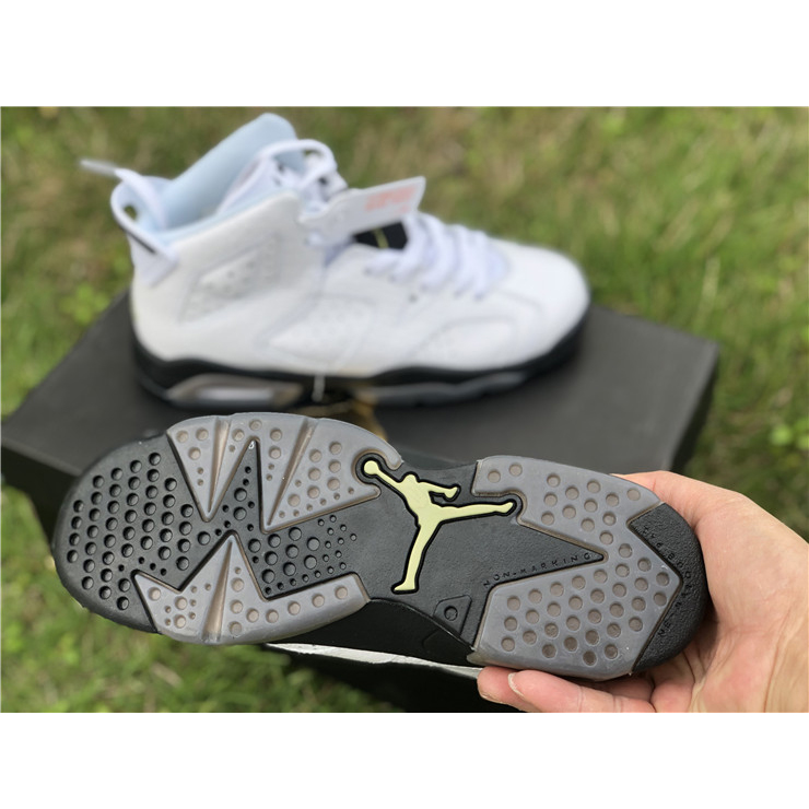 Air Jordan 6 "Alligator"  - 