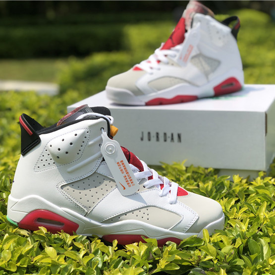 Jordan AJ6 Sneaker - 