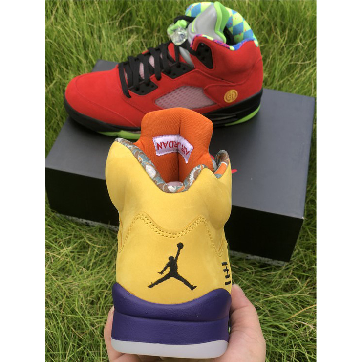 Jordan  AJ5 “What The”  - 