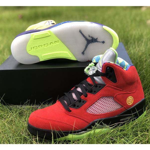 Jordan  AJ5 “What The”  - 