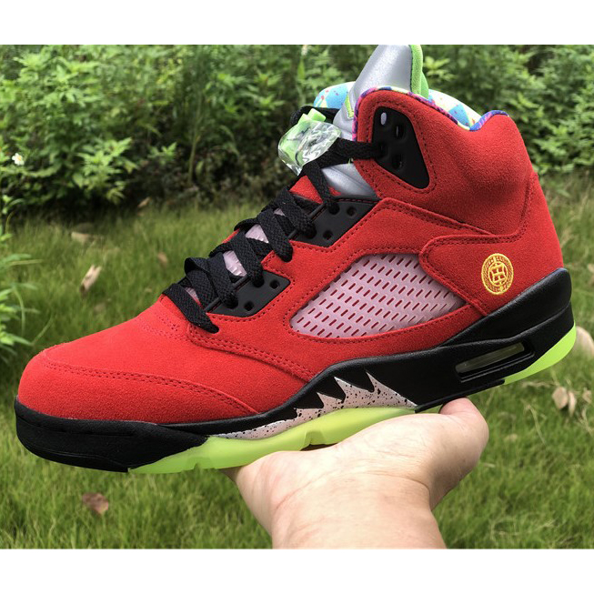 Jordan  AJ5 “What The”  - 