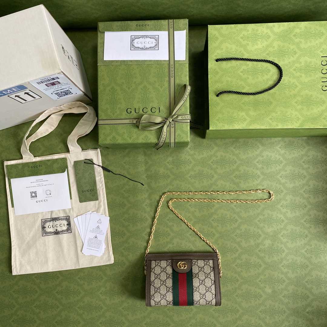 Gucci Ophidia GG Mini Crossbody Bag (19*14*6cm) - 