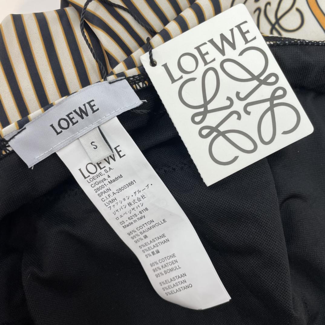 Loewe Swimsuit In Technical Jersey - 