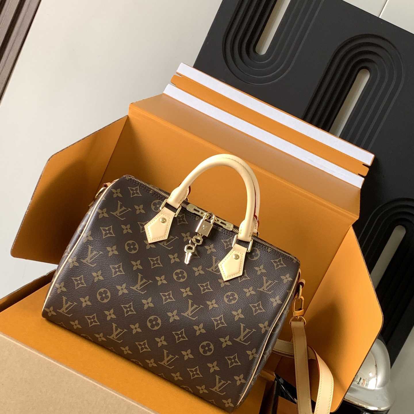 Louis Vuitton Speedy Bandoulière 30    M41112 - 