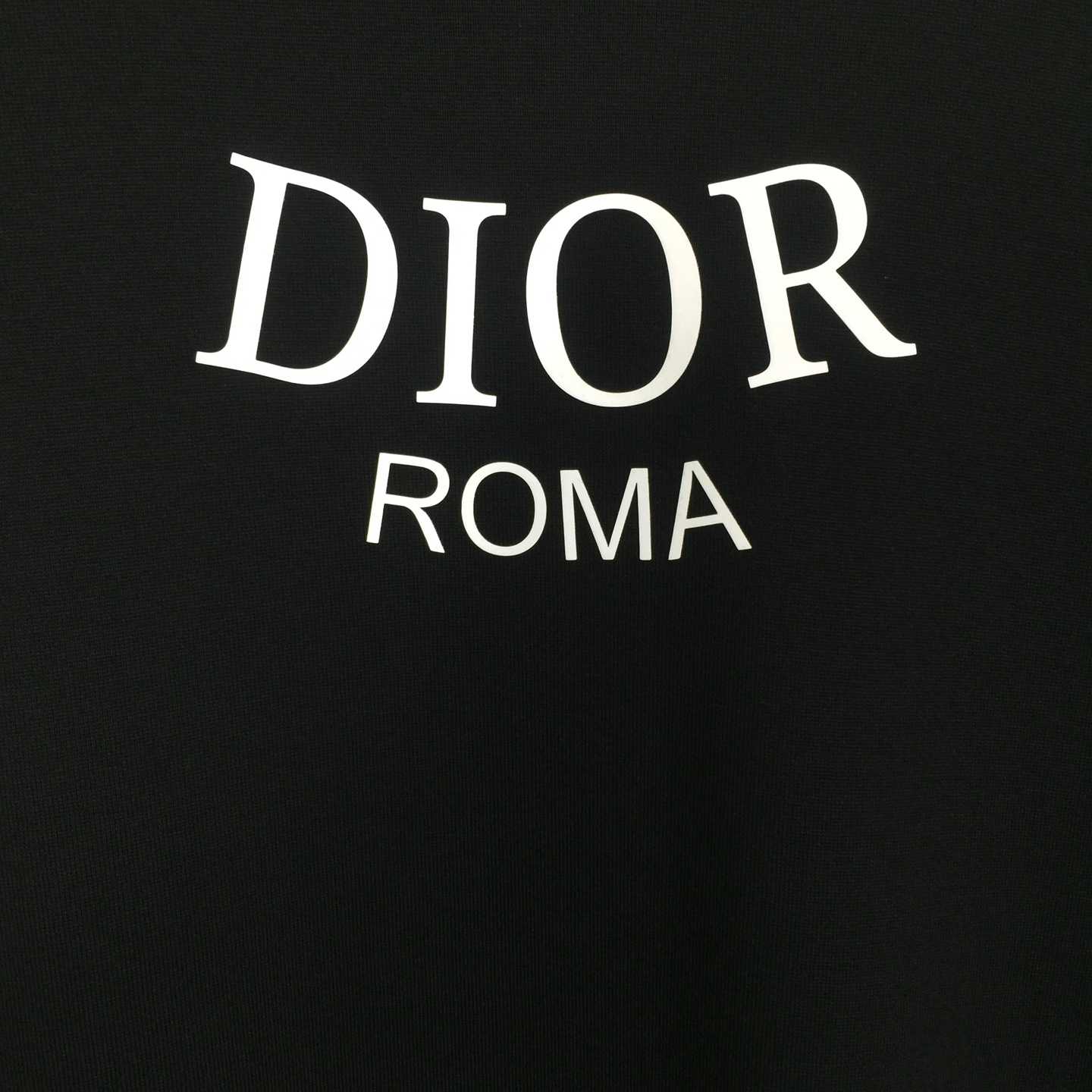 Dior Logo Cotton T-Shirt  - 