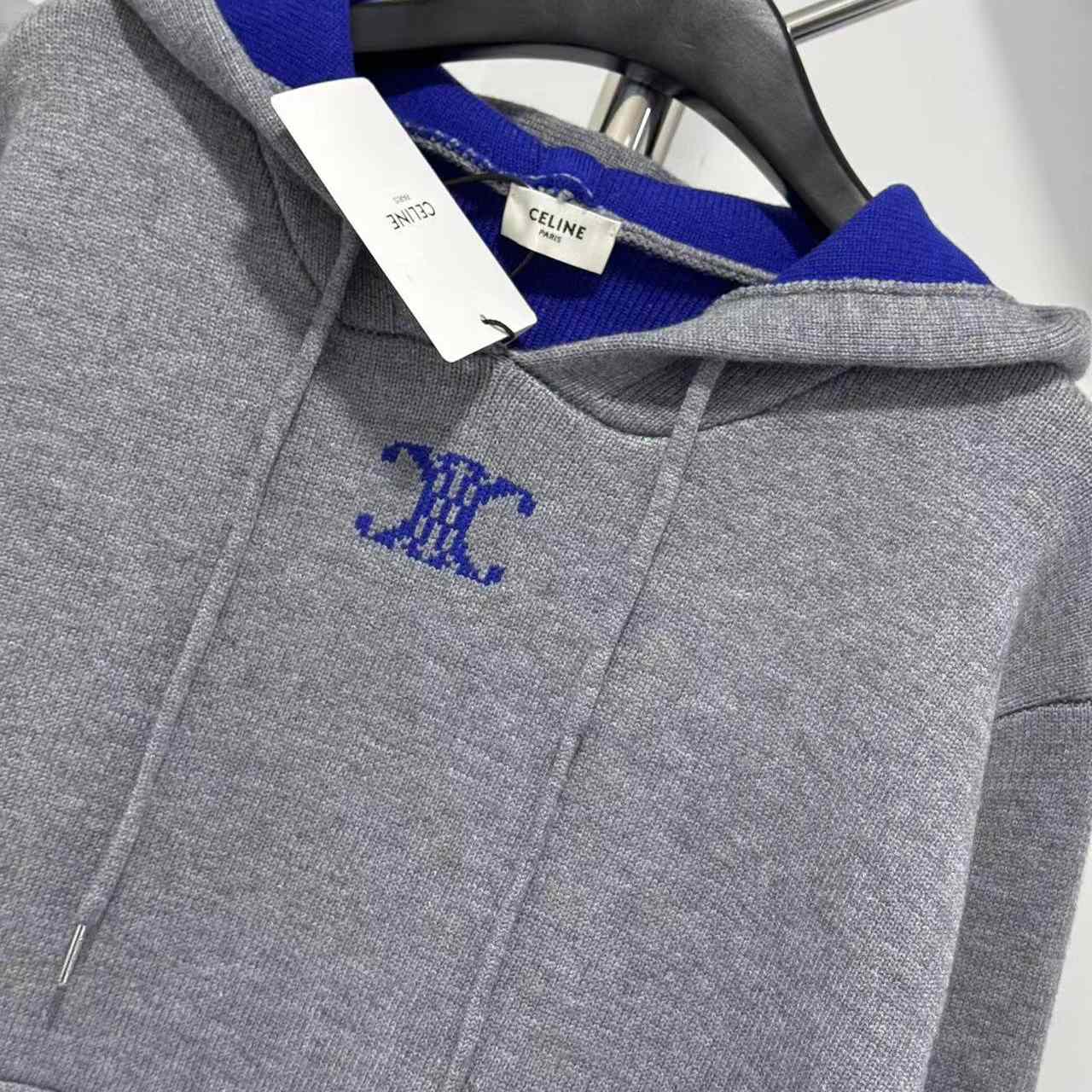 Celine Hooded Sweater In Cashmere - DesignerGu