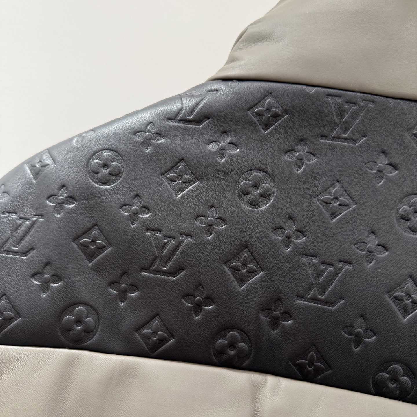 Louis Vuitton Leather Down Jacket  - DesignerGu