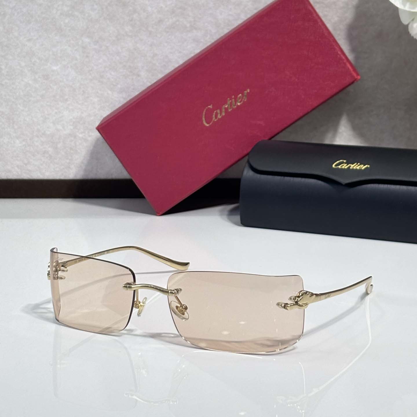Cartier CT0503S Sunglasses    - DesignerGu