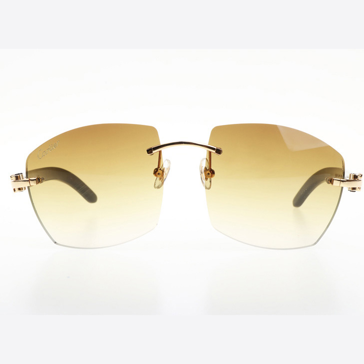 Cartier CT 4189706 Black Buffalo Sunglasses In Gold Gradient Brown - DesignerGu