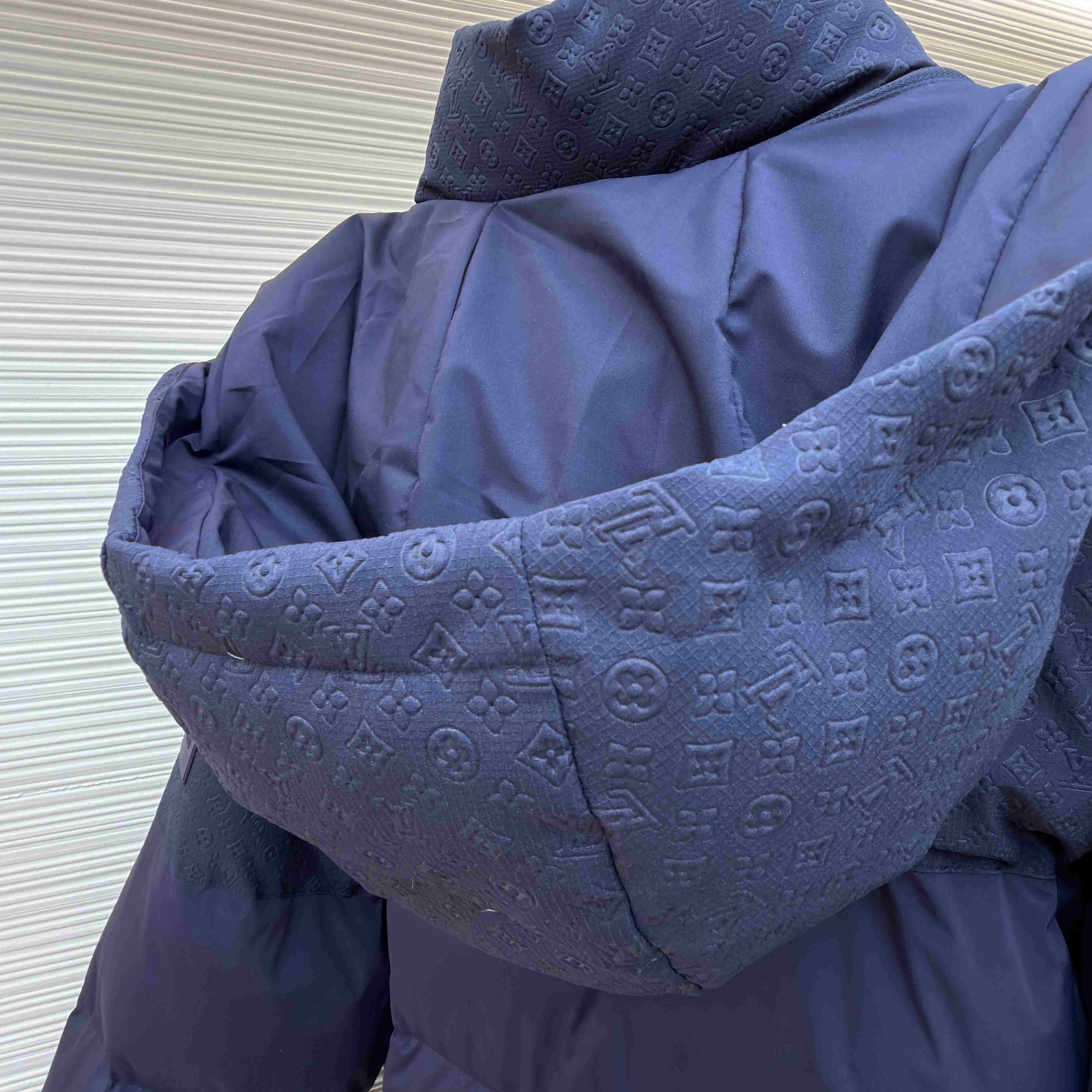 Louis Vuitton Down Blouson 1AGIJR - DesignerGu