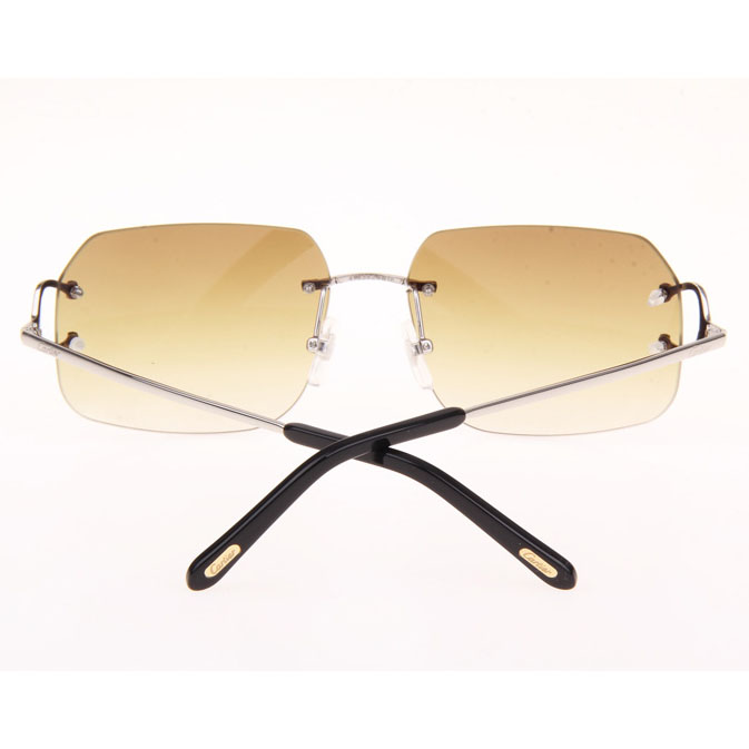 Cartier CT 4193833 Sunglasses In Silver Gradient Brown - DesignerGu