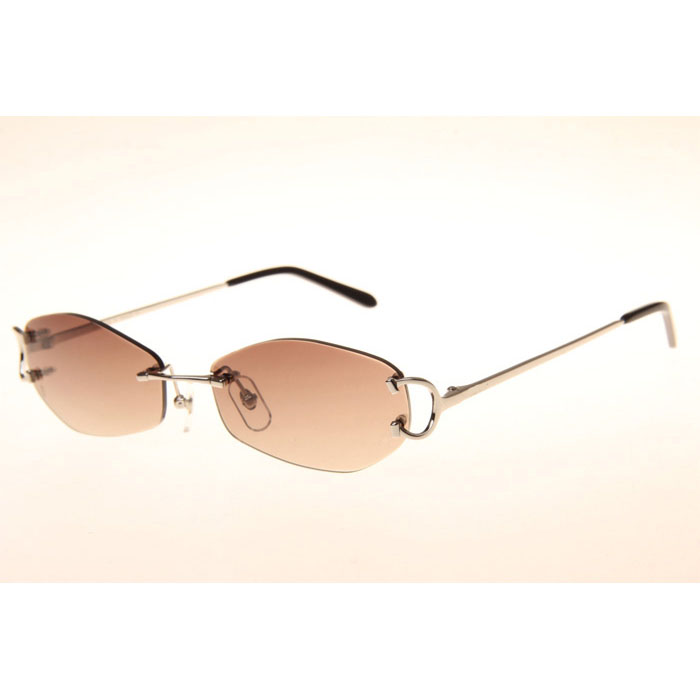 Cartier CT 4193831 Sunglasses In Silver Gradient Brown - DesignerGu