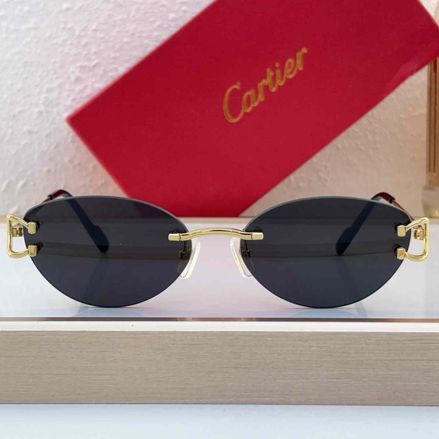 Cartier Sunglasses   CT0487O - DesignerGu