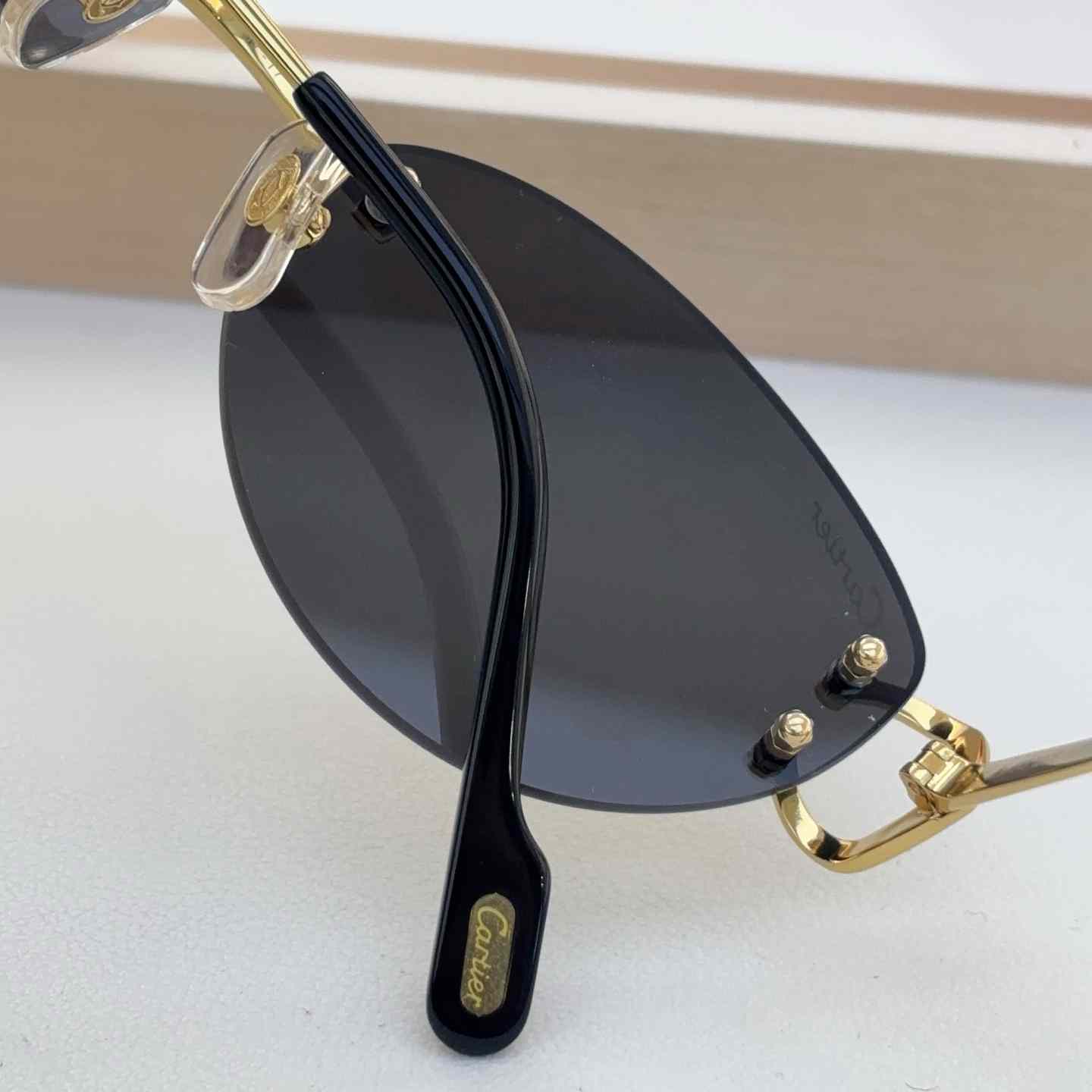 Cartier Sunglasses   CT0487O - DesignerGu