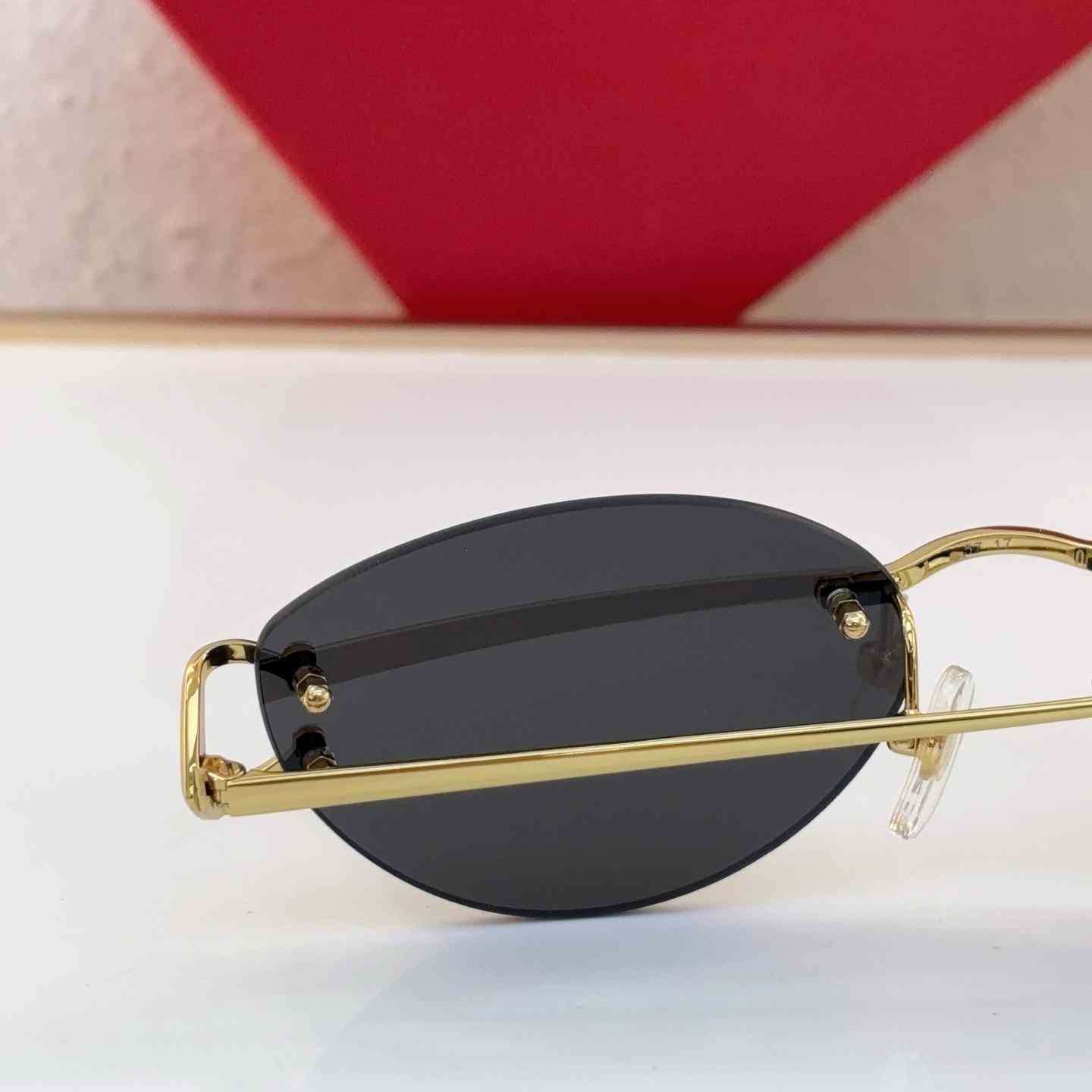 Cartier Sunglasses   CT0487O - DesignerGu