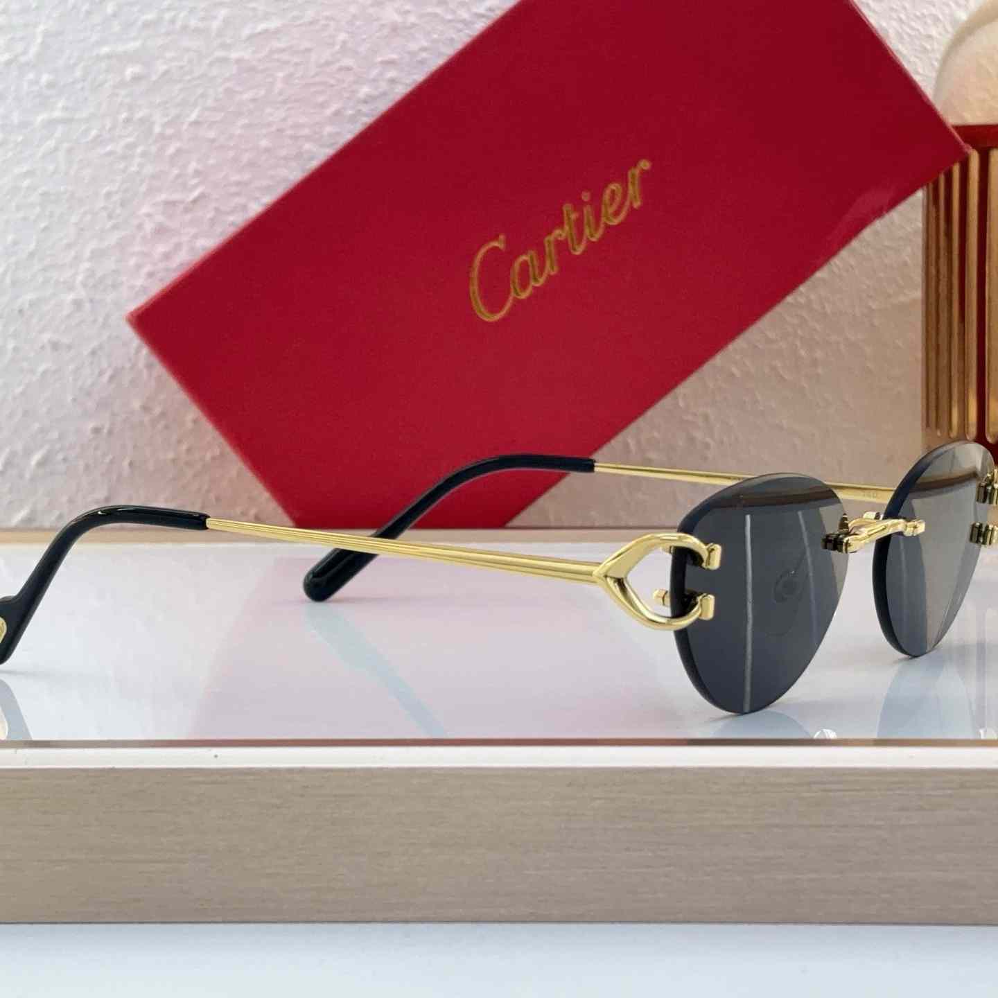 Cartier Sunglasses   CT0487O - DesignerGu