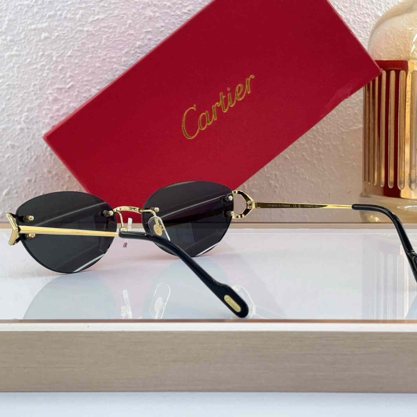 Cartier Sunglasses   CT0487O - DesignerGu