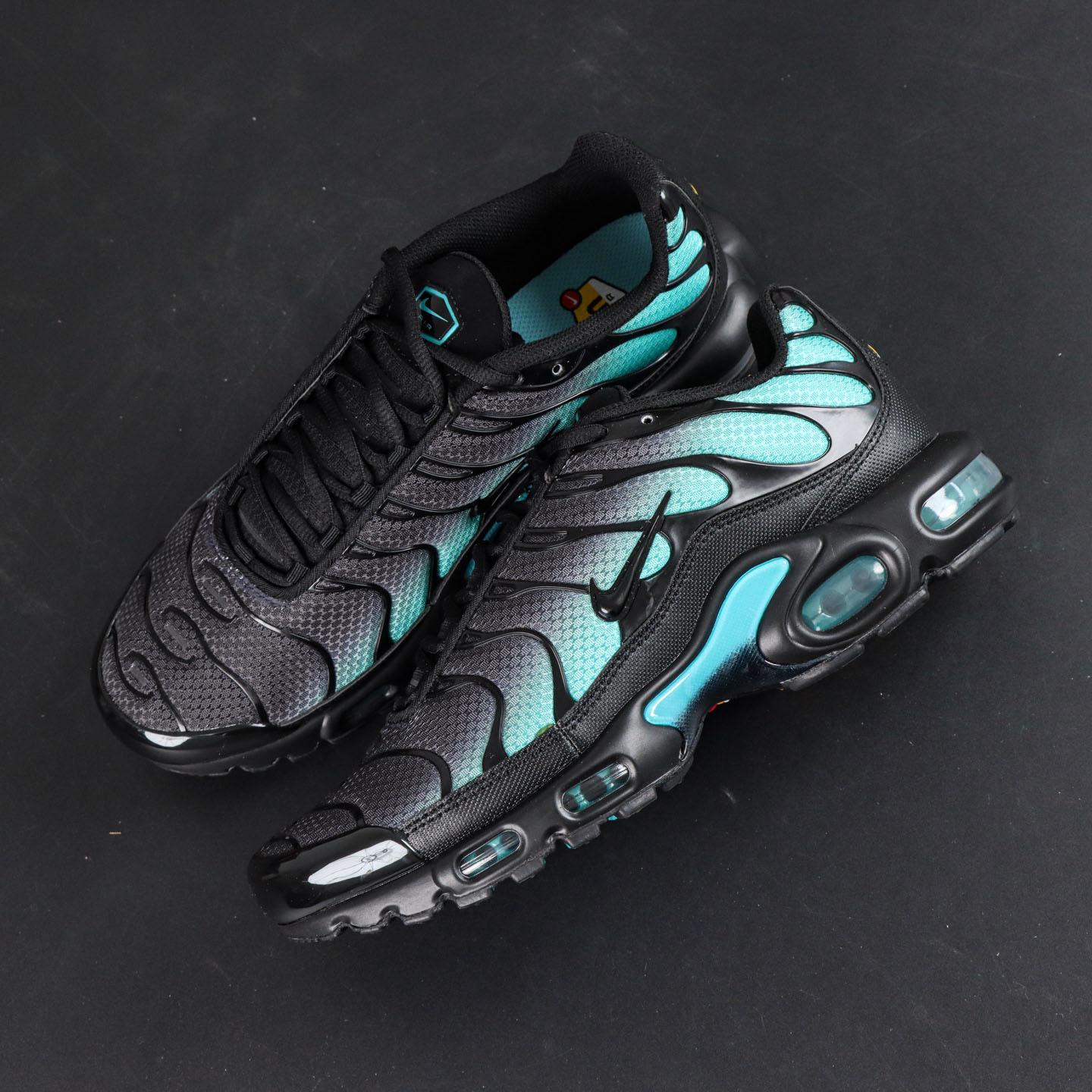 Nike Air Max Plus 'Black Dusty Cactus'  DM0032-016 - DesignerGu
