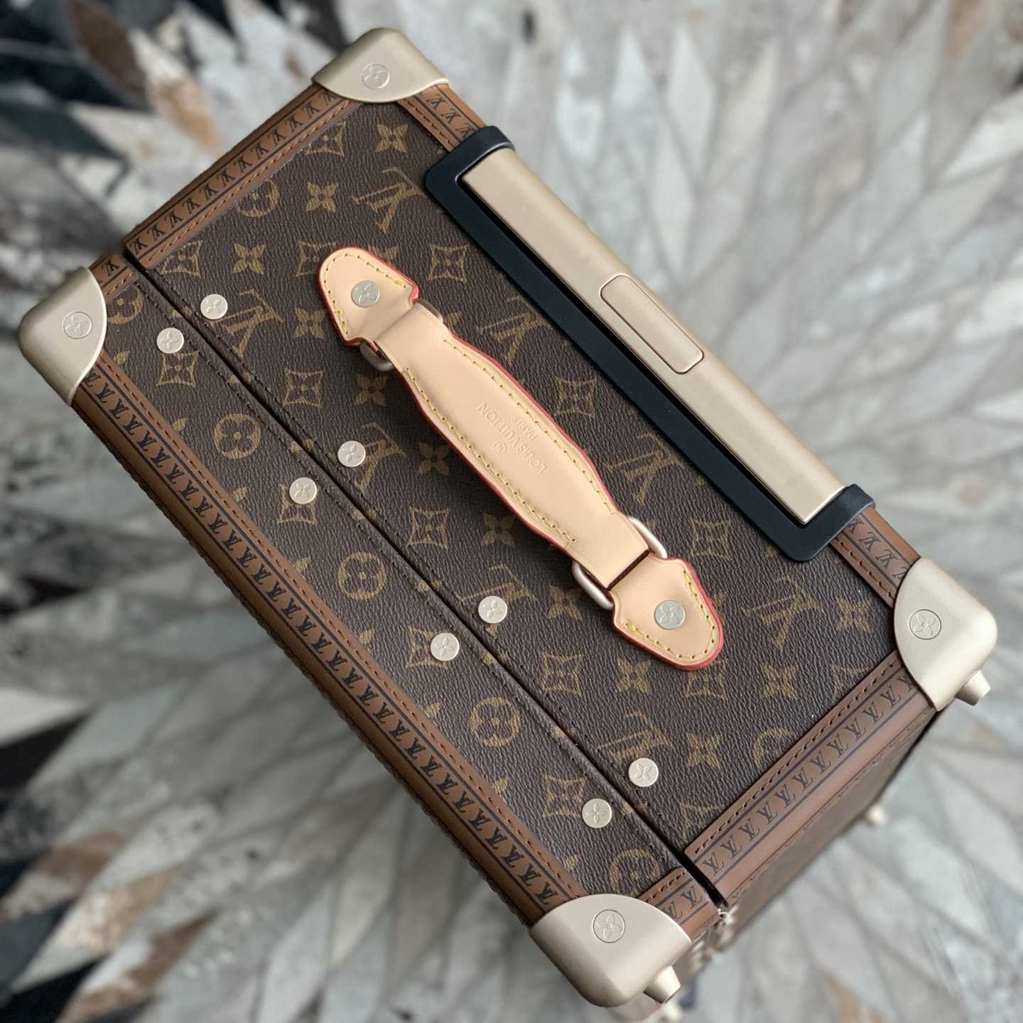 Louis Vuitton Rolling Trunk M20212 - DesignerGu
