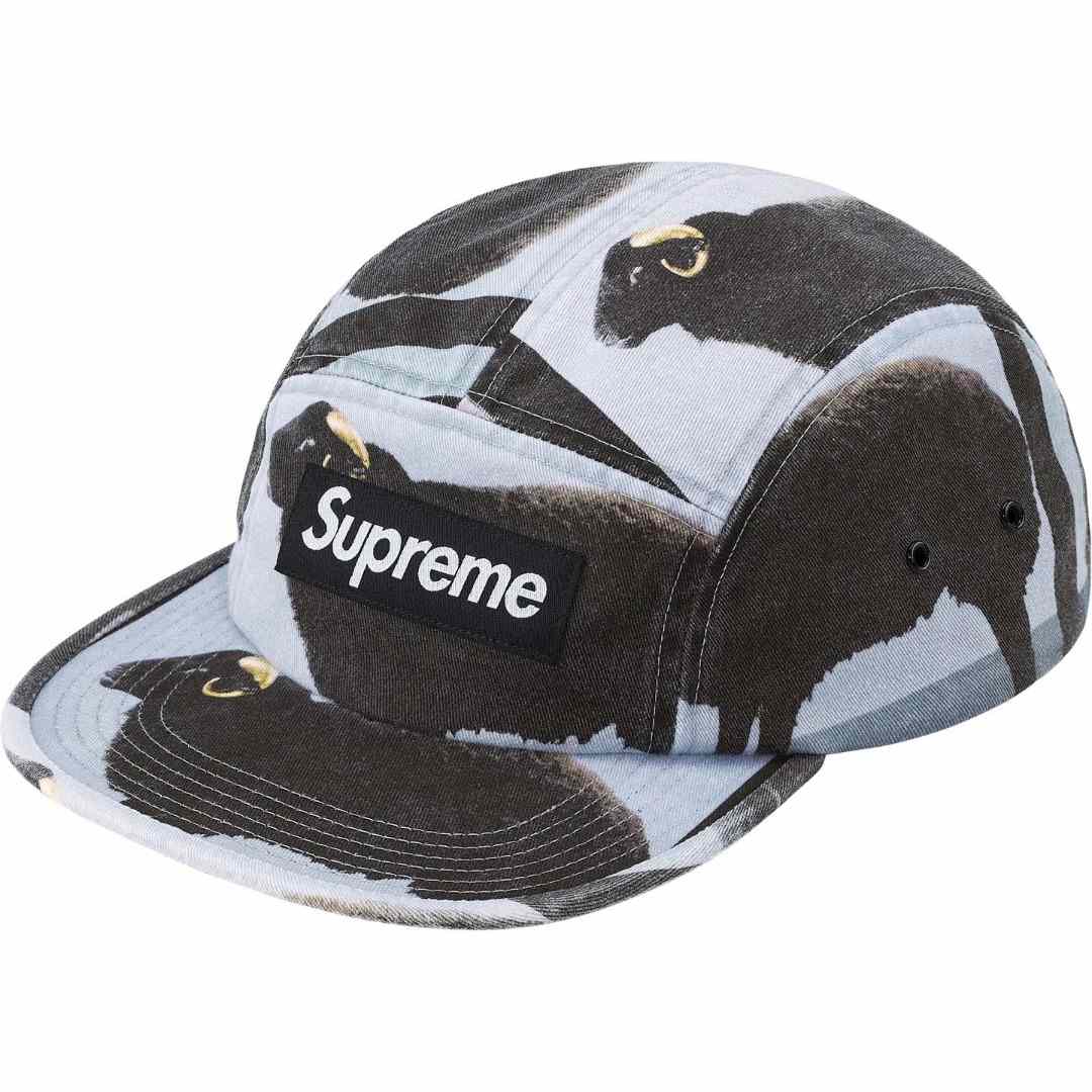 Supreme x Damien Hirst Camp Cap  - DesignerGu