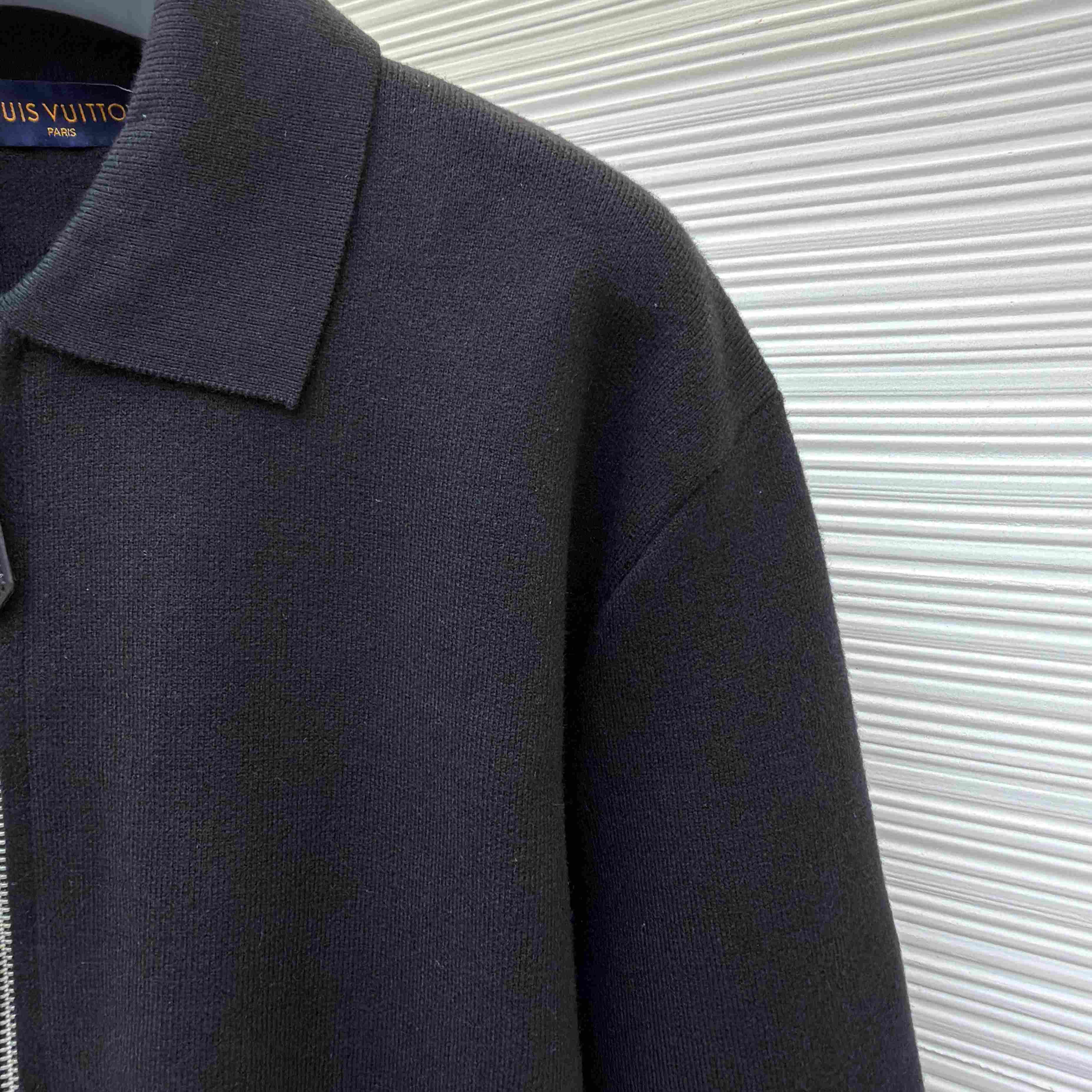 Louis Vuitton Knit Blouson With Leather Details 1AJIEX - DesignerGu