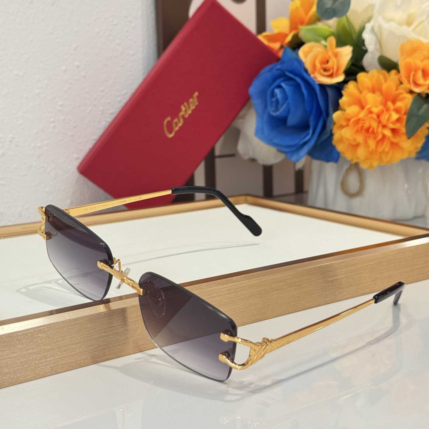 Cartier Sunglasses CT02026O - DesignerGu