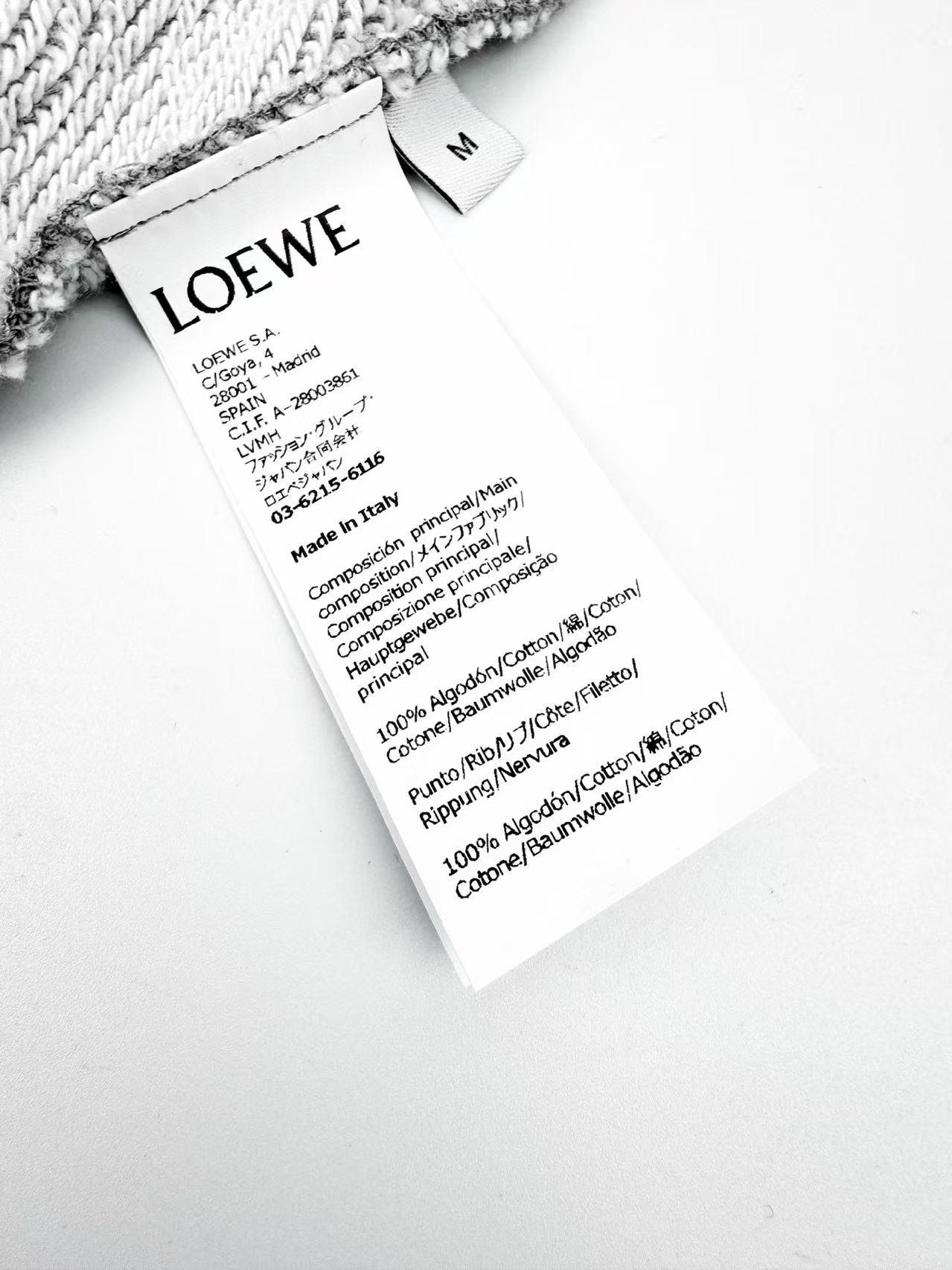 Loewe Relaxed Fit Hoodie In Cotton - DesignerGu