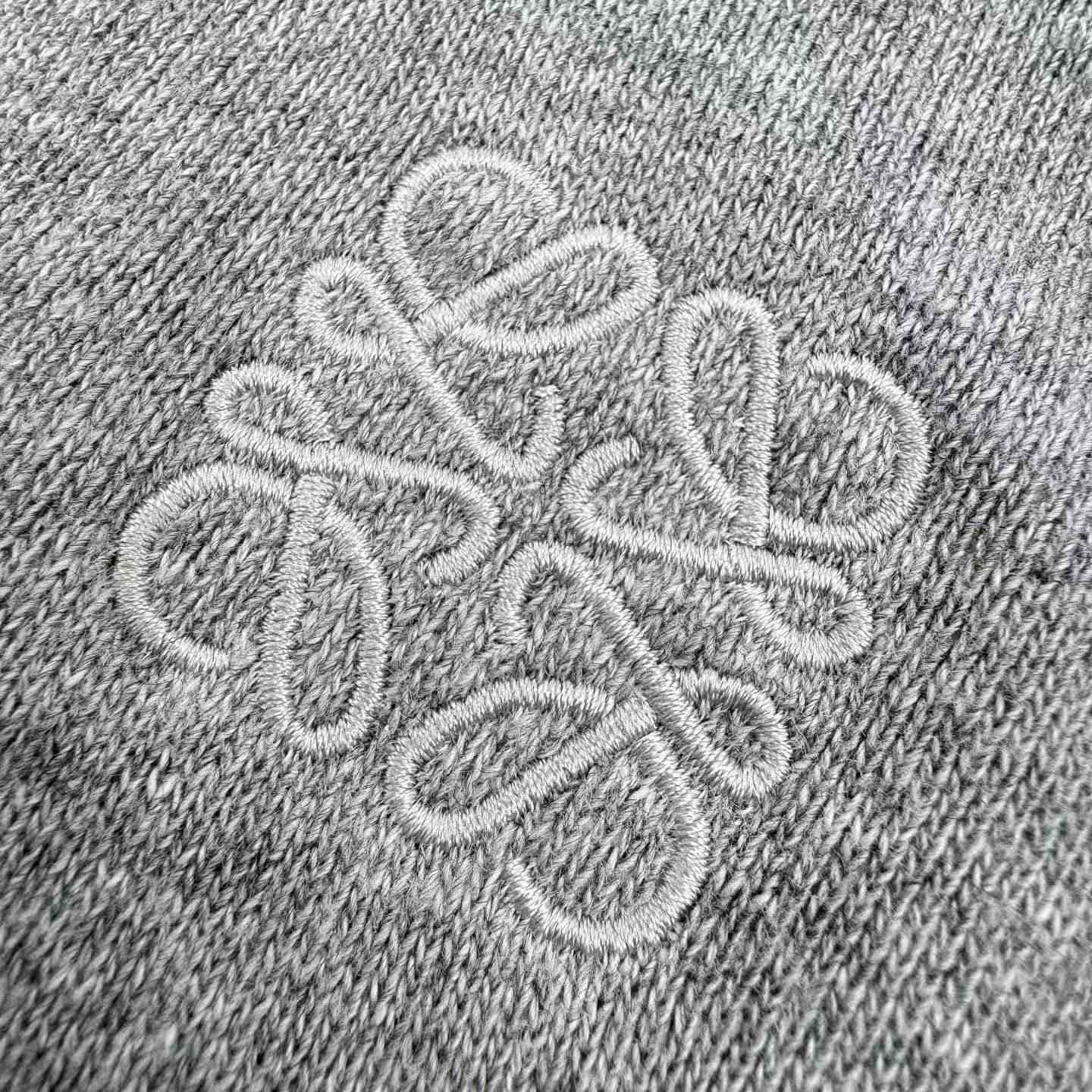 Loewe Relaxed Fit Hoodie In Cotton - DesignerGu